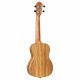 Ortega Timber RFU11Z Concert Zebrawood