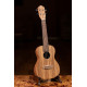 Ortega Timber RFU11Z Concert Zebrawood