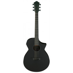IBANEZ AEWC621 BOT