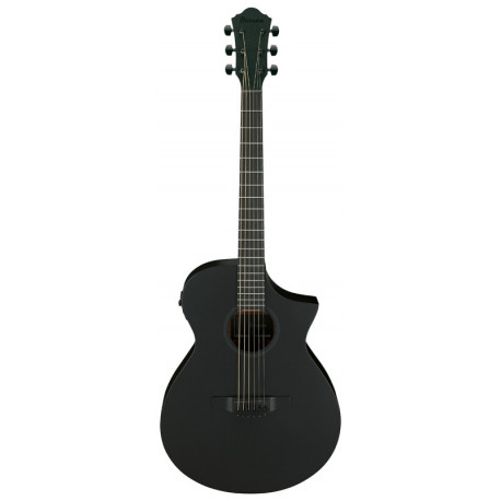 IBANEZ AEWC621 BOT