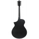 IBANEZ AEWC621 BOT