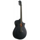 IBANEZ AEWC621 BOT