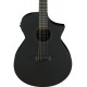 IBANEZ AEWC621 BOT
