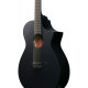 IBANEZ AEWC621 BOT