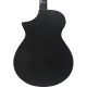 IBANEZ AEWC621 BOT