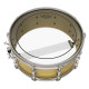 REMO Pinstripe Clear 18" (PS-0318-00)