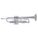 Bach Stradivarius 50th Anniversary (190S43)