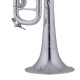 Bach Stradivarius 50th Anniversary (190S43)