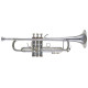 Bach Stradivarius (180S37G)