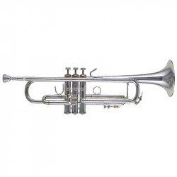 Bach Stradivarius (180S37G)