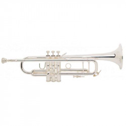 Bach Stradivarius (180S72)