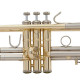 Bach Stradivarius (18037)