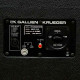 Gallien-Krueger Neo 810