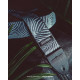 Dunlop D67-22 2" Jacquard Zebra Cadabra