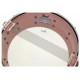 PEARL STS-1455S/C847