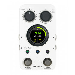 MOOER GL100