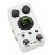 MOOER GL100