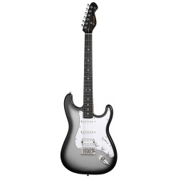 MOOER MSC12 Pro Iron Silver