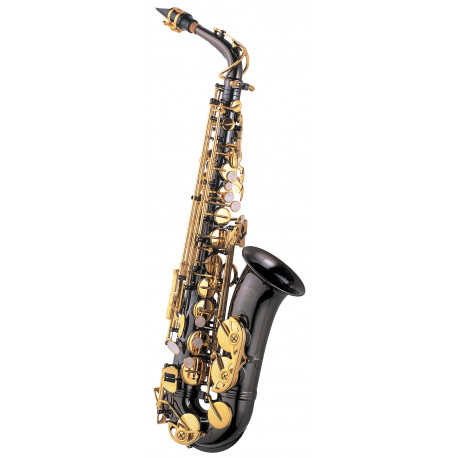 J.MICHAEL AL800BL Alto Saxophone