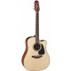 TAKAMINE P2DC