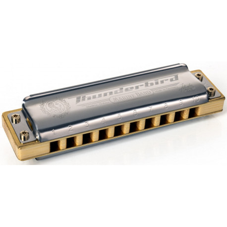 Hohner Marine Band Thunderbird M201174X Low Bb-major Box