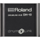 ROLAND DH-10