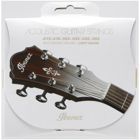 IBANEZ IACS6C ACOUSTIC GUITAR STRING 12-53