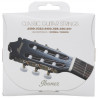 IBANEZ ICLS6NT CLASSIC GUITAR STRING 28-41