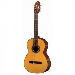 VGS Student EU Natural 4/4