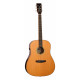 TANGLEWOOD TRS5 CE
