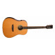 TANGLEWOOD TRS5 CE