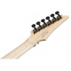 IBANEZ RG565R DY