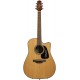 TAKAMINE P1DC