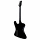 LTD Phoenix-201 (Black)