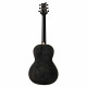 PRS SE P20E (Black Dog Hair)