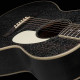 PRS SE P20E (Black Dog Hair)