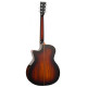 Tanglewood TWX6 CEK