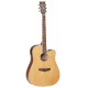 Tanglewood TW5CE NA