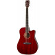 Tanglewood TW5CE R