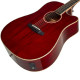 Tanglewood TW5CE R