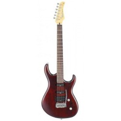 CORT G254 WS