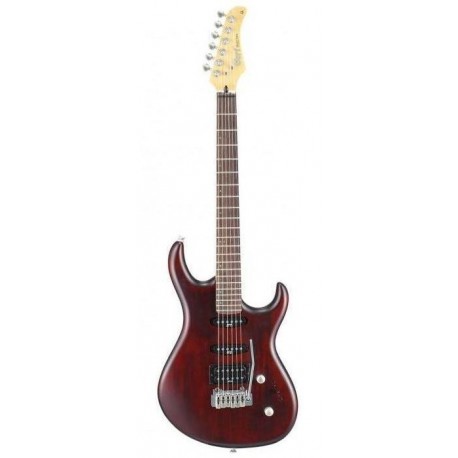 CORT G254 WS