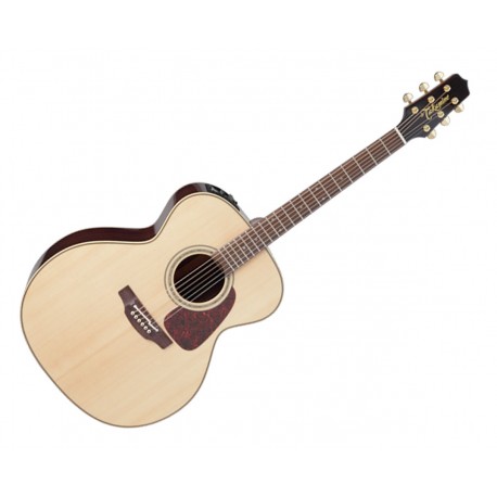 TAKAMINE P5J