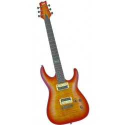 ESP / EDWARDS / LTD / GRASS ROOTS H101FM ASB