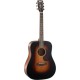 CORT Earth300V SB