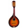 MAXTONE MGRC202