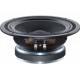 CELESTION T5889