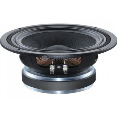 CELESTION T5889