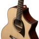 IBANEZ AEW22CD NT