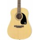 EPIPHONE DR-100 NATURAL CH HDWE
